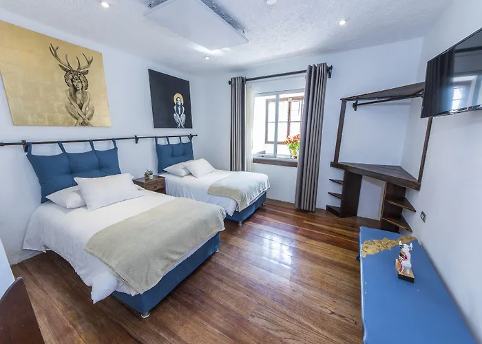 Hotel X.o Art House 4*